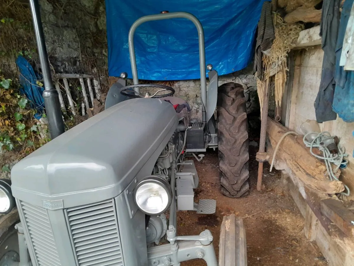 diesel 20 for sale - Image 1