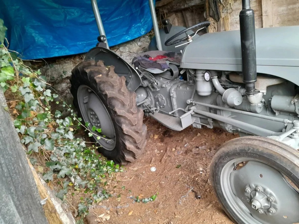 diesel 20 for sale - Image 4
