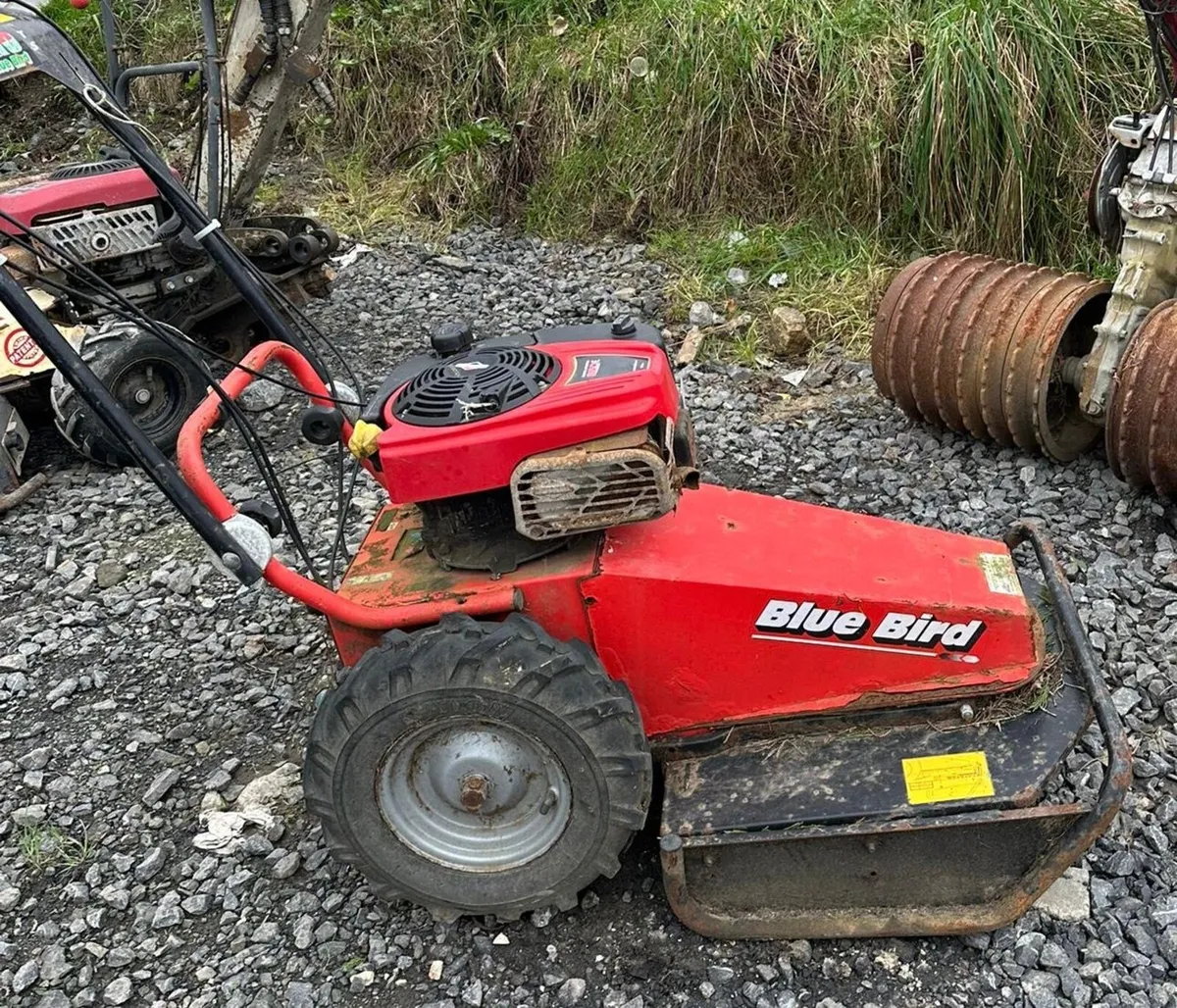 Rotator Stand On Mower land mower - Image 3