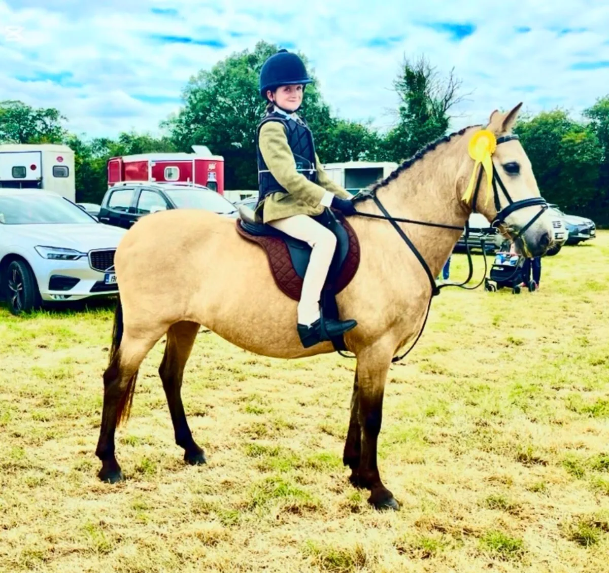 13.2 pony - Image 2