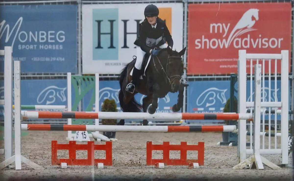Pony 14.2 Honest All Rounder - Image 1