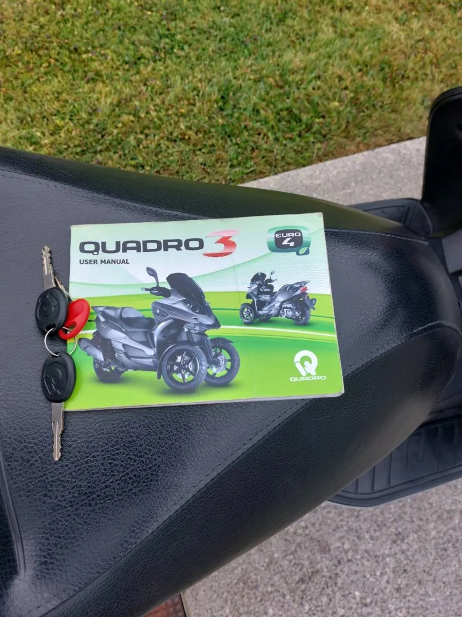 Quadro 350cc 2018 - Image 3