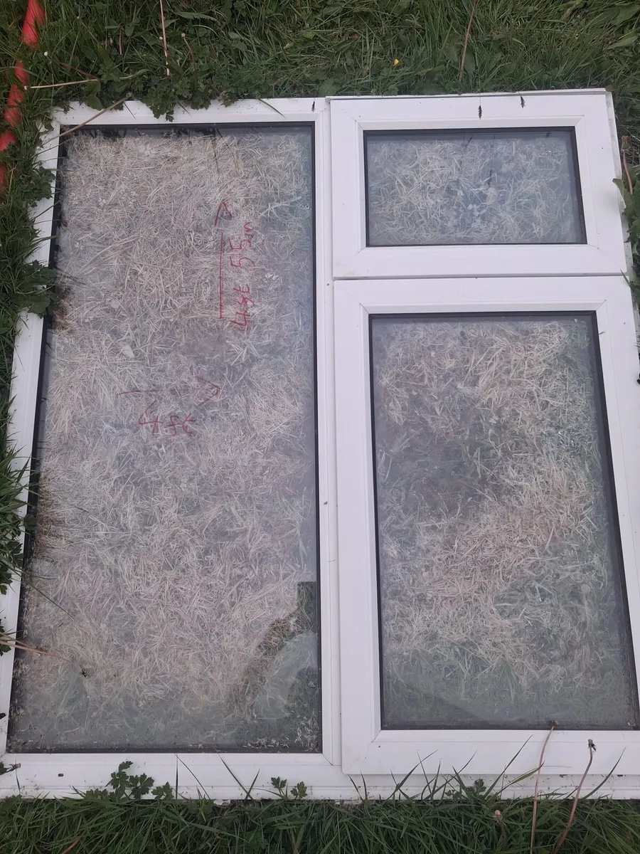 Window