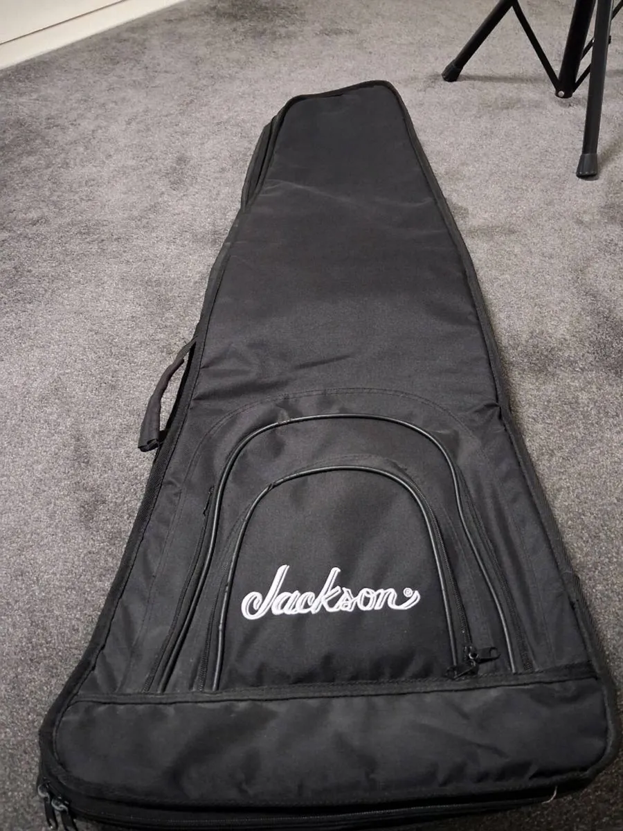 Guitar stand and case - Image 1