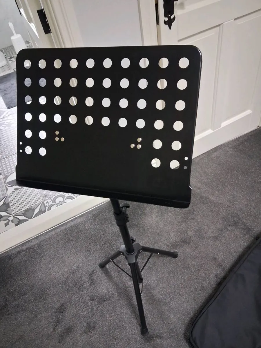 Guitar stand and case - Image 2