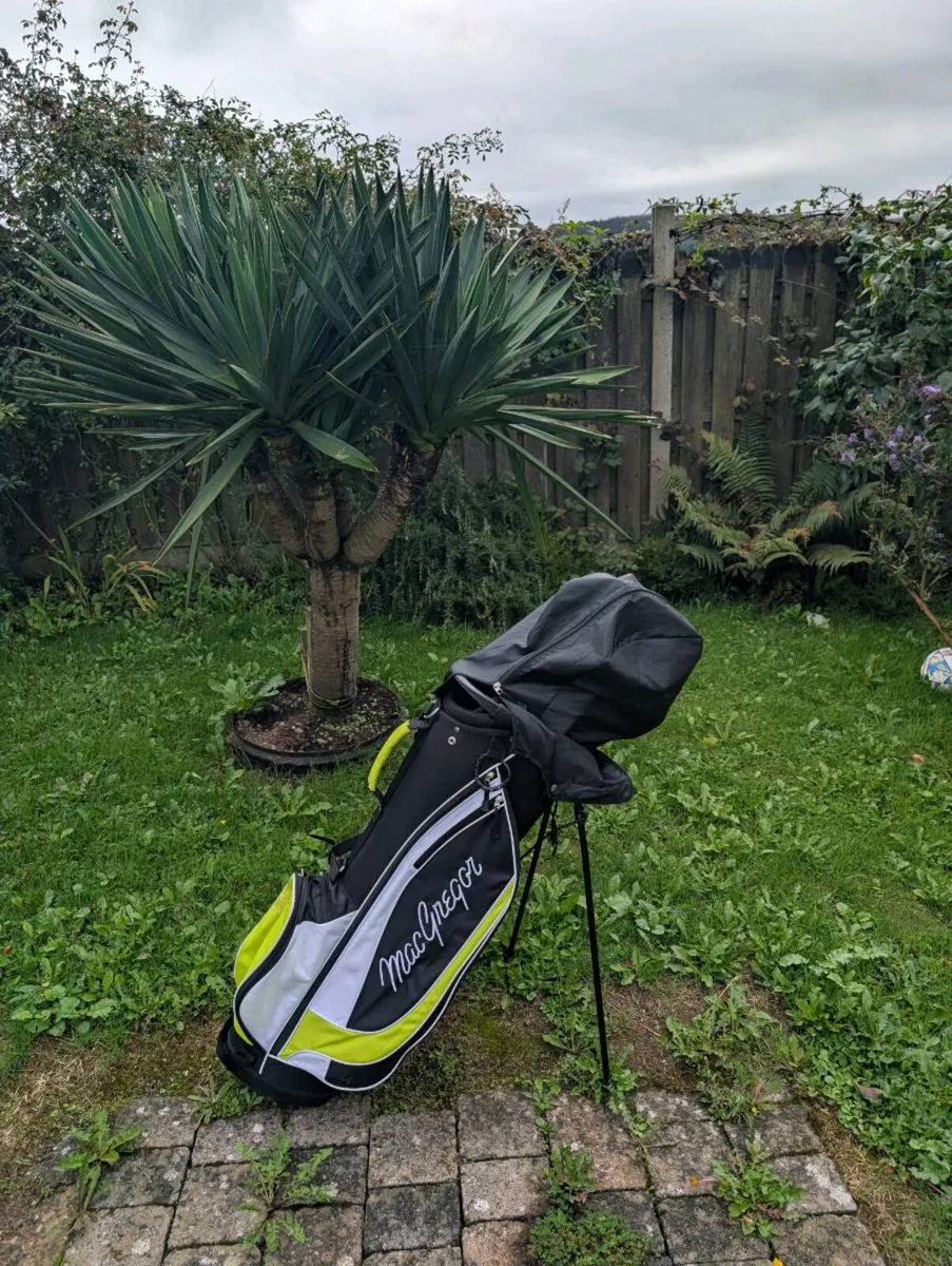 Beginner Golf clubs - Image 1