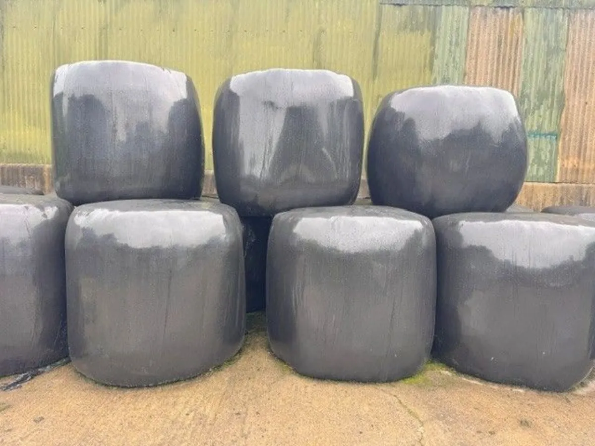 Silage Bales - Image 1