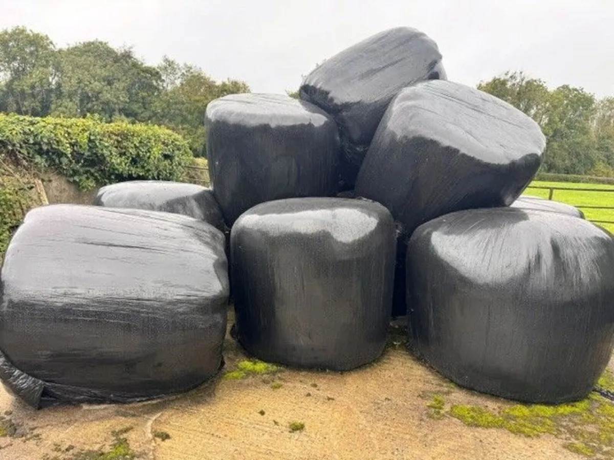 Silage Bales - Image 2