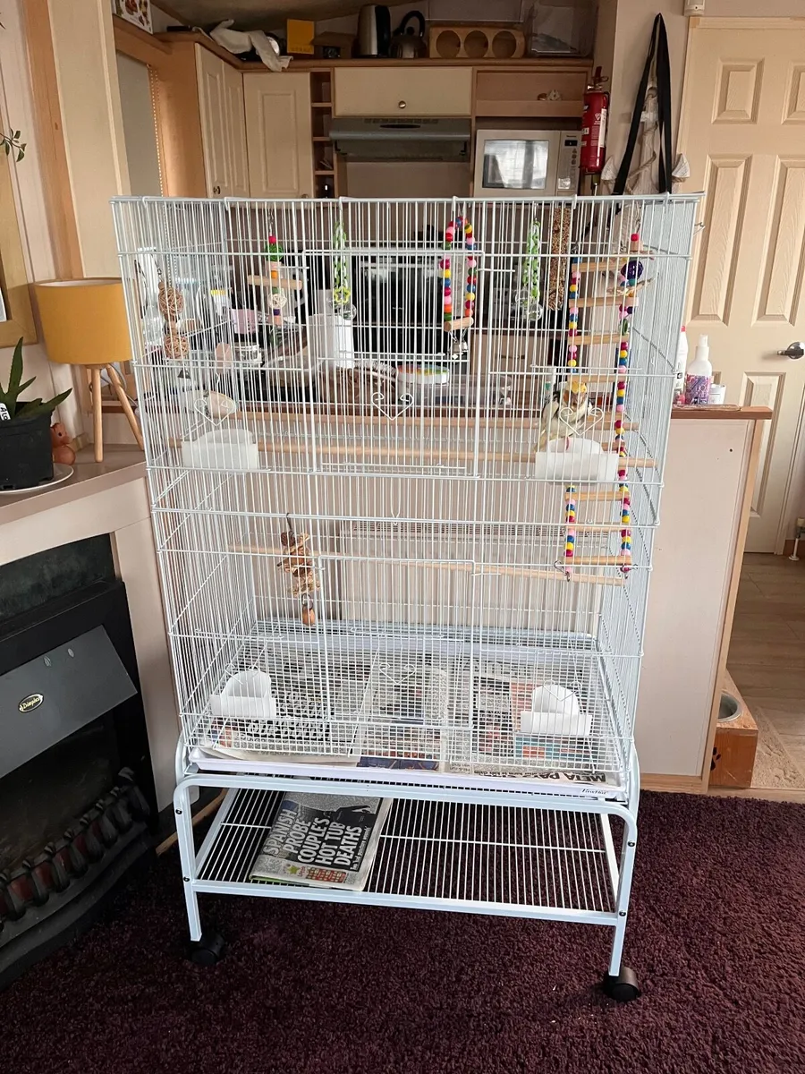 Large bird cage - Image 2
