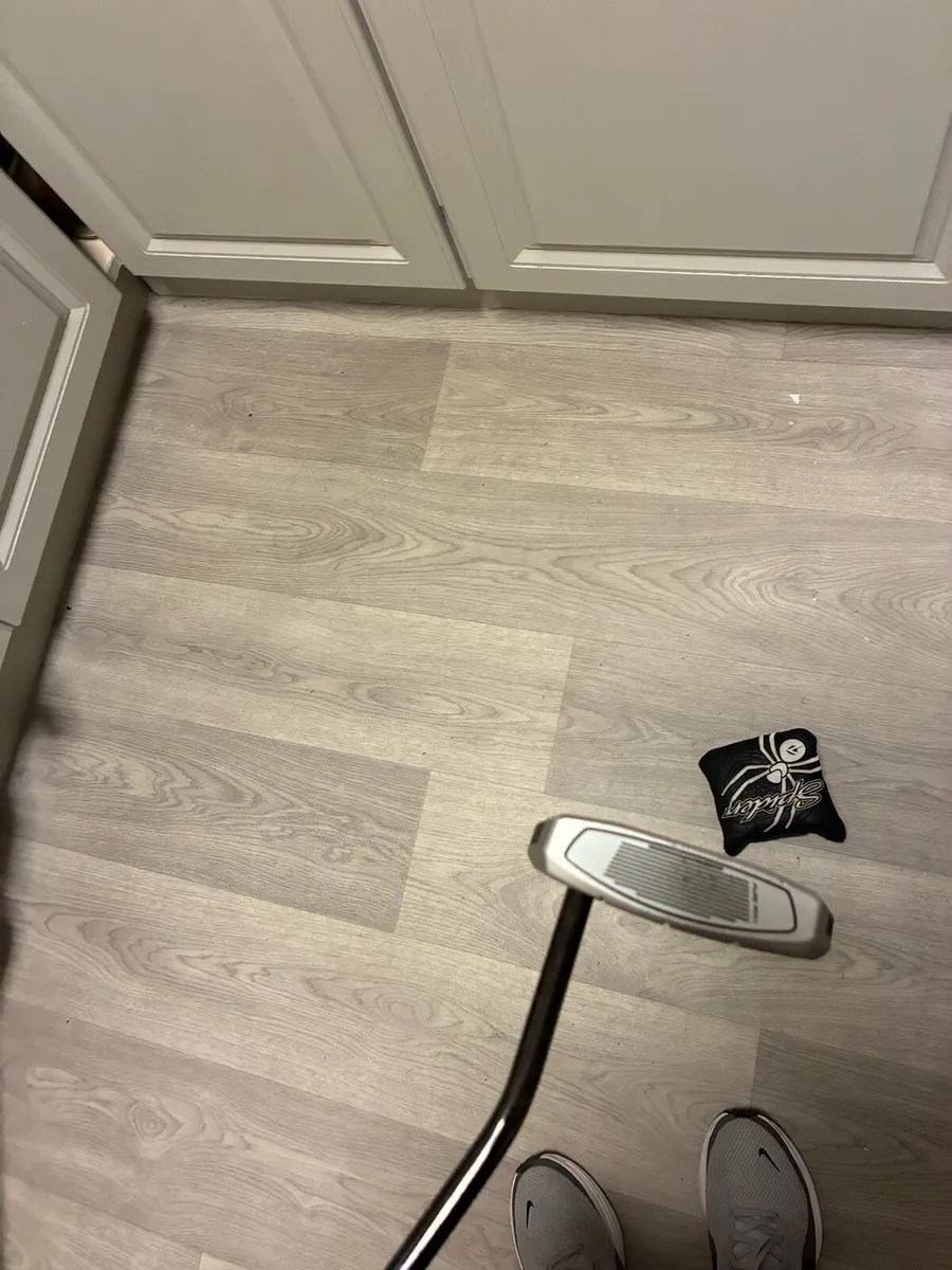 Spider putter - Image 2