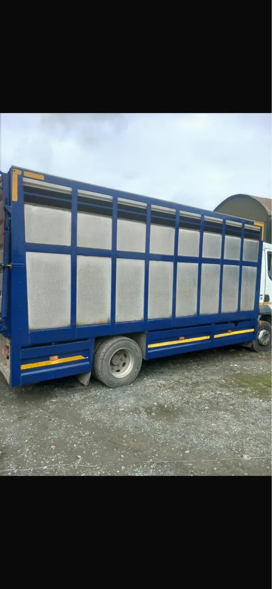 Daf cattle lorry - Image 2