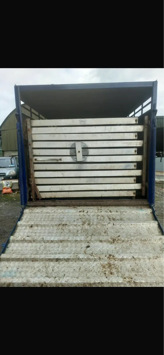 Daf cattle lorry - Image 3