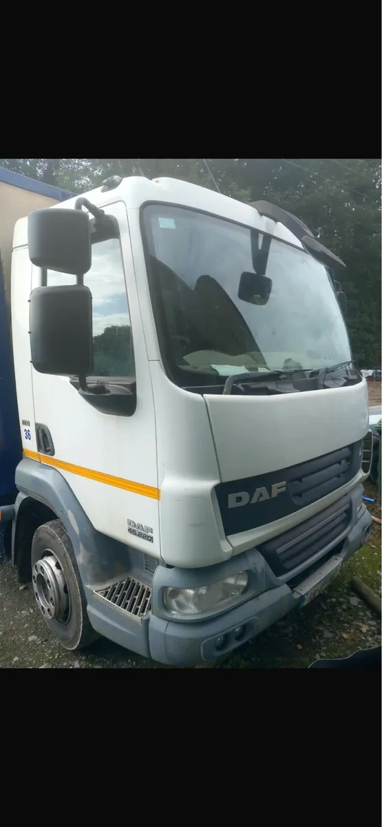 Daf cattle lorry - Image 4