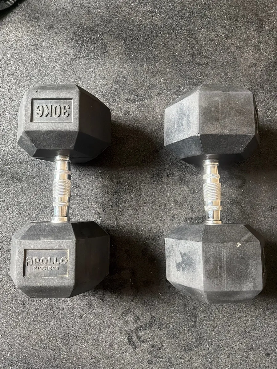 30Kg Dumbbells - Image 1