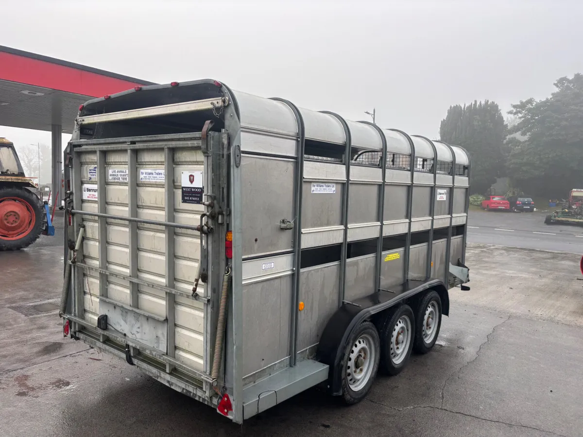 2021 ifor williams ta510 14ft with sheep decks - Image 4