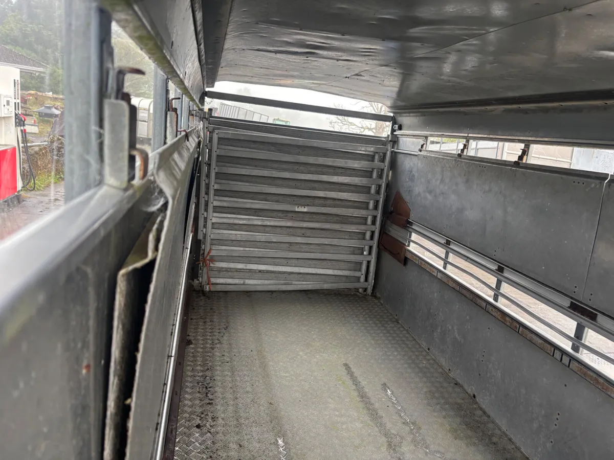2021 ifor williams ta510 14ft with sheep decks - Image 3