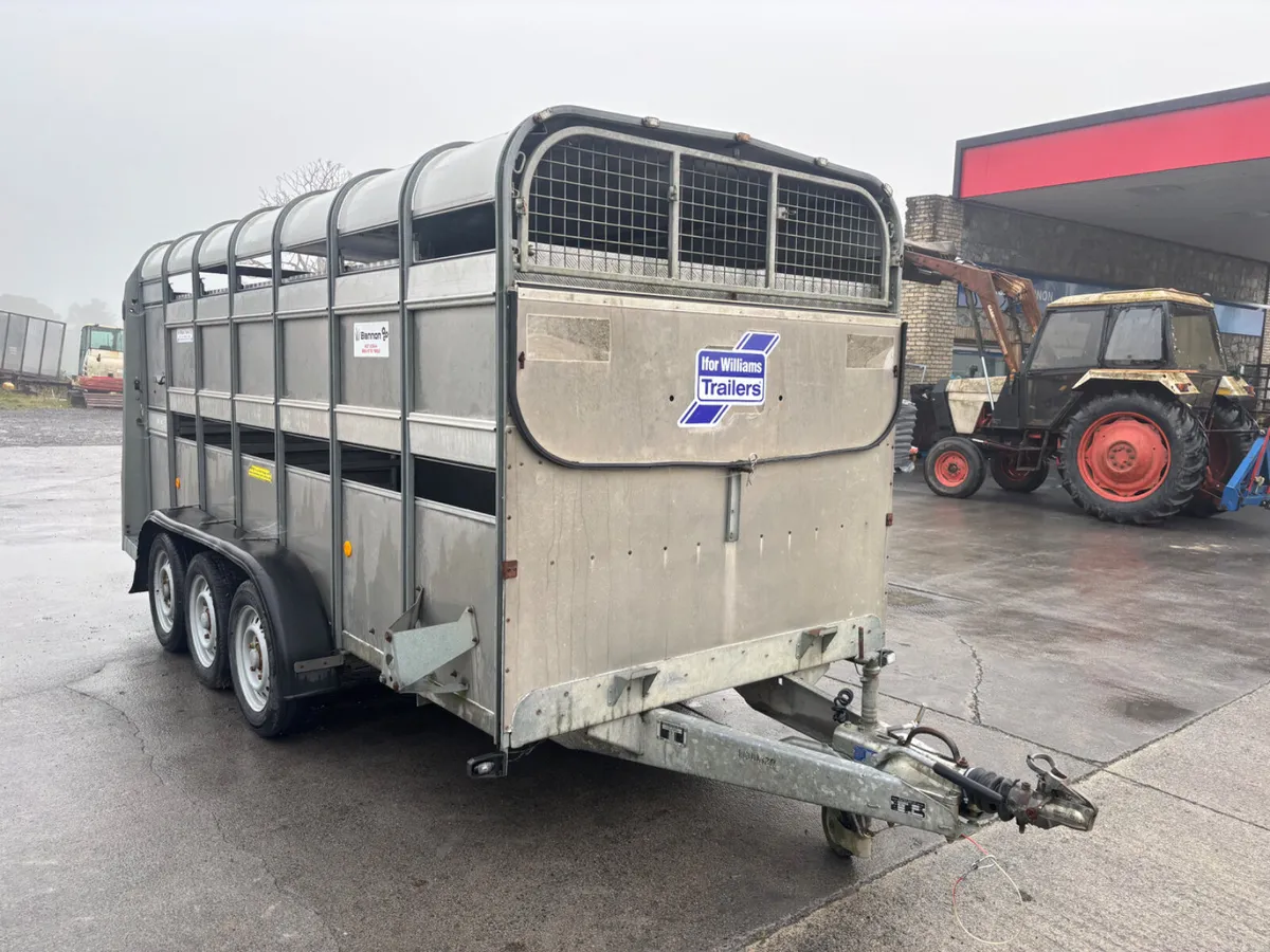 2021 ifor williams ta510 14ft with sheep decks - Image 2