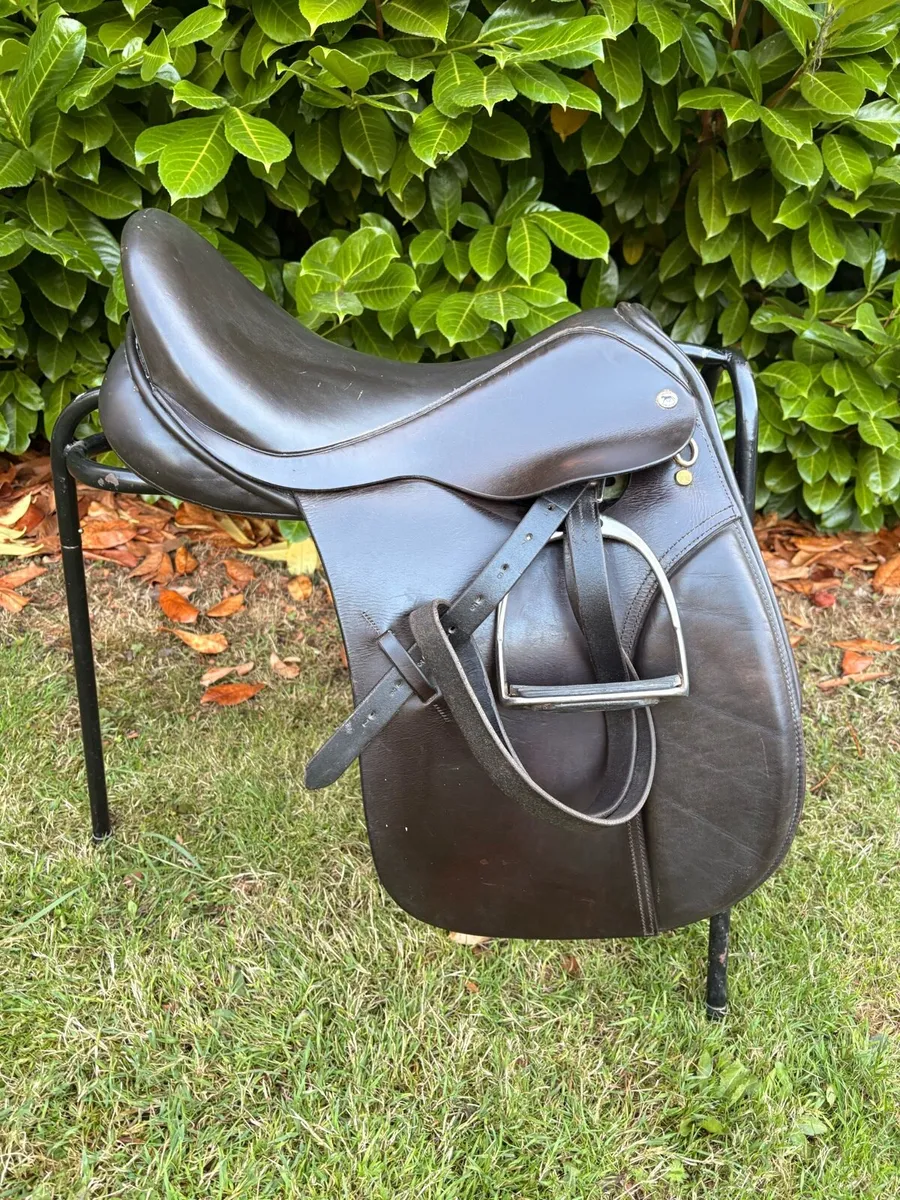 Saddles - Image 1