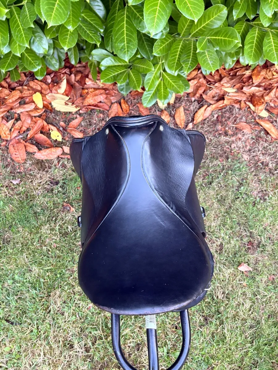 Saddles - Image 4