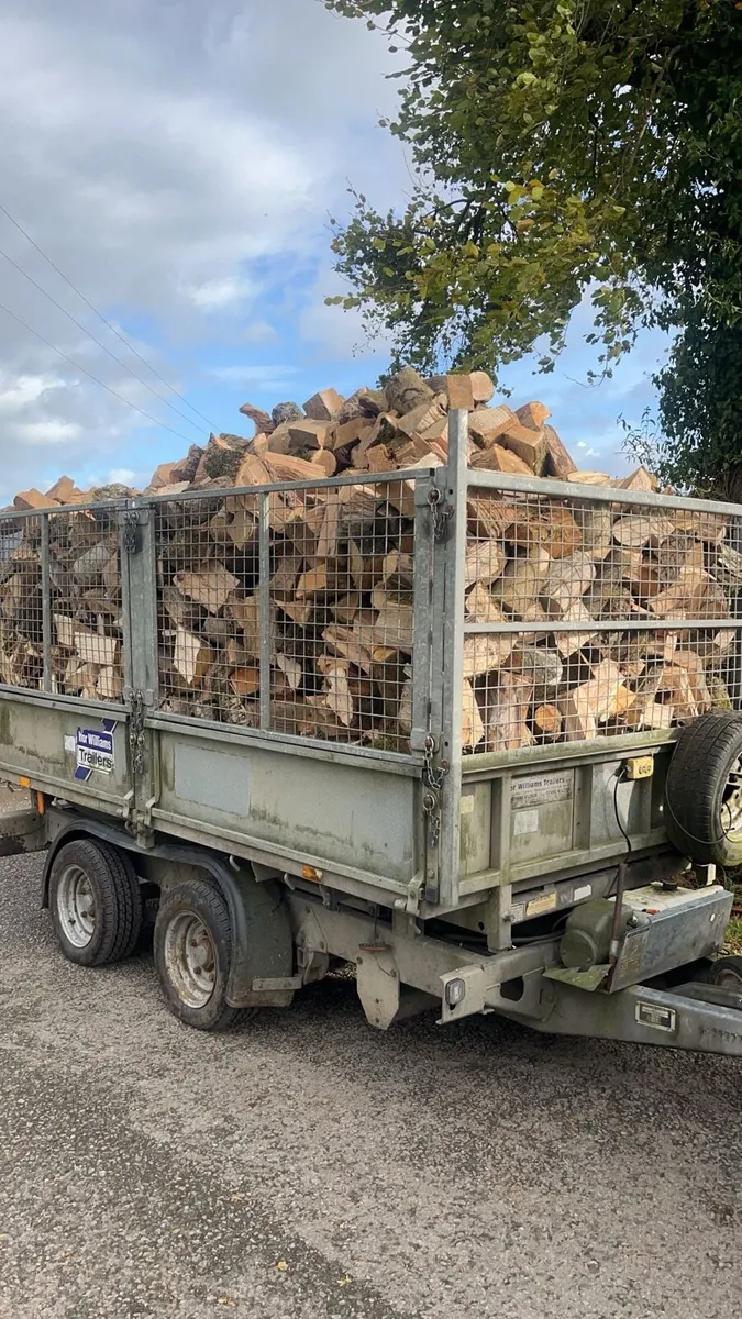 Firewood