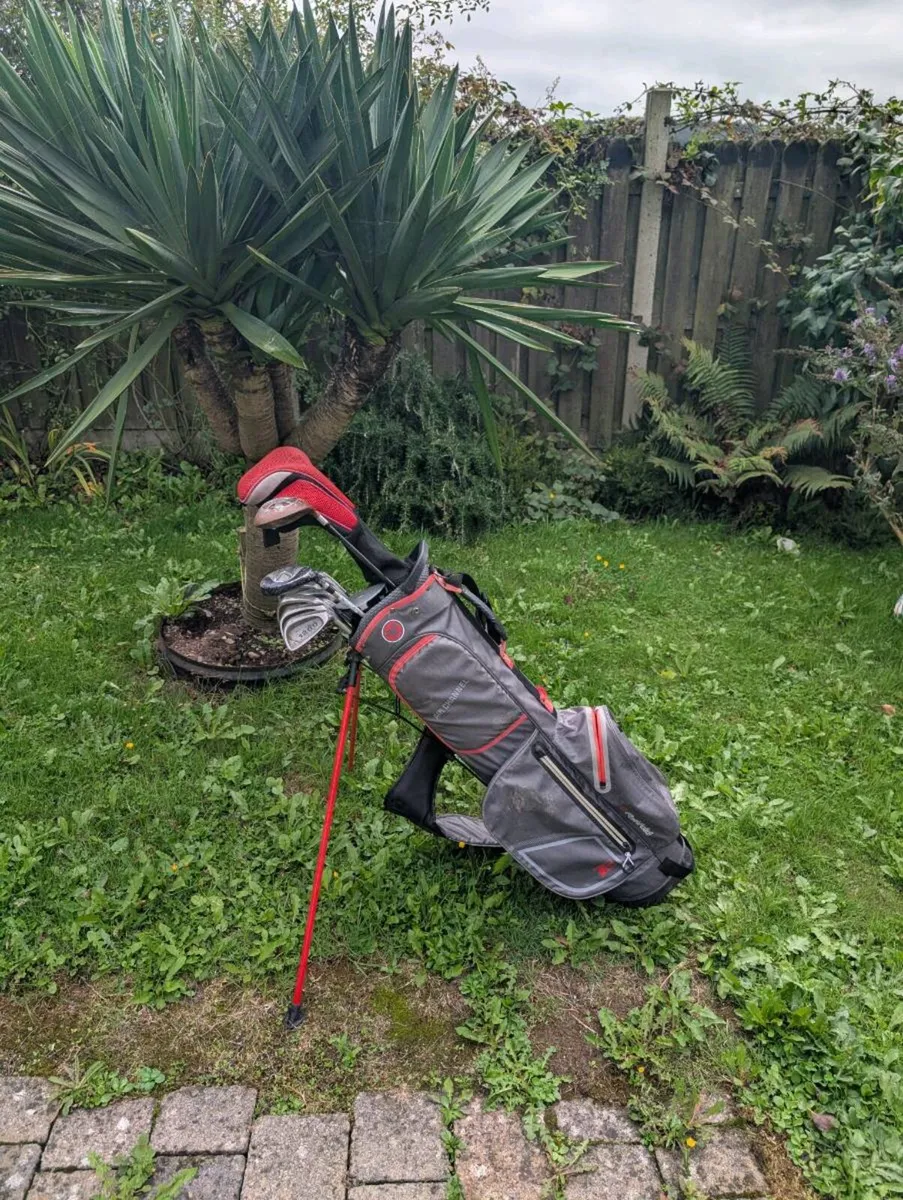 Adult Golf clubs - Image 1