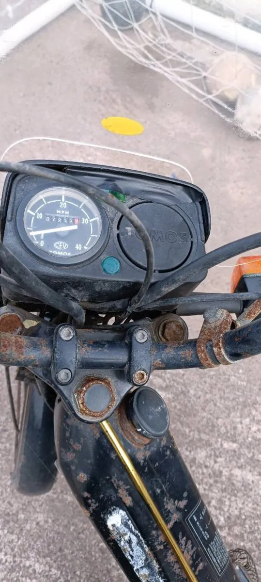 Tomos motor bike and luojia bike - Image 4