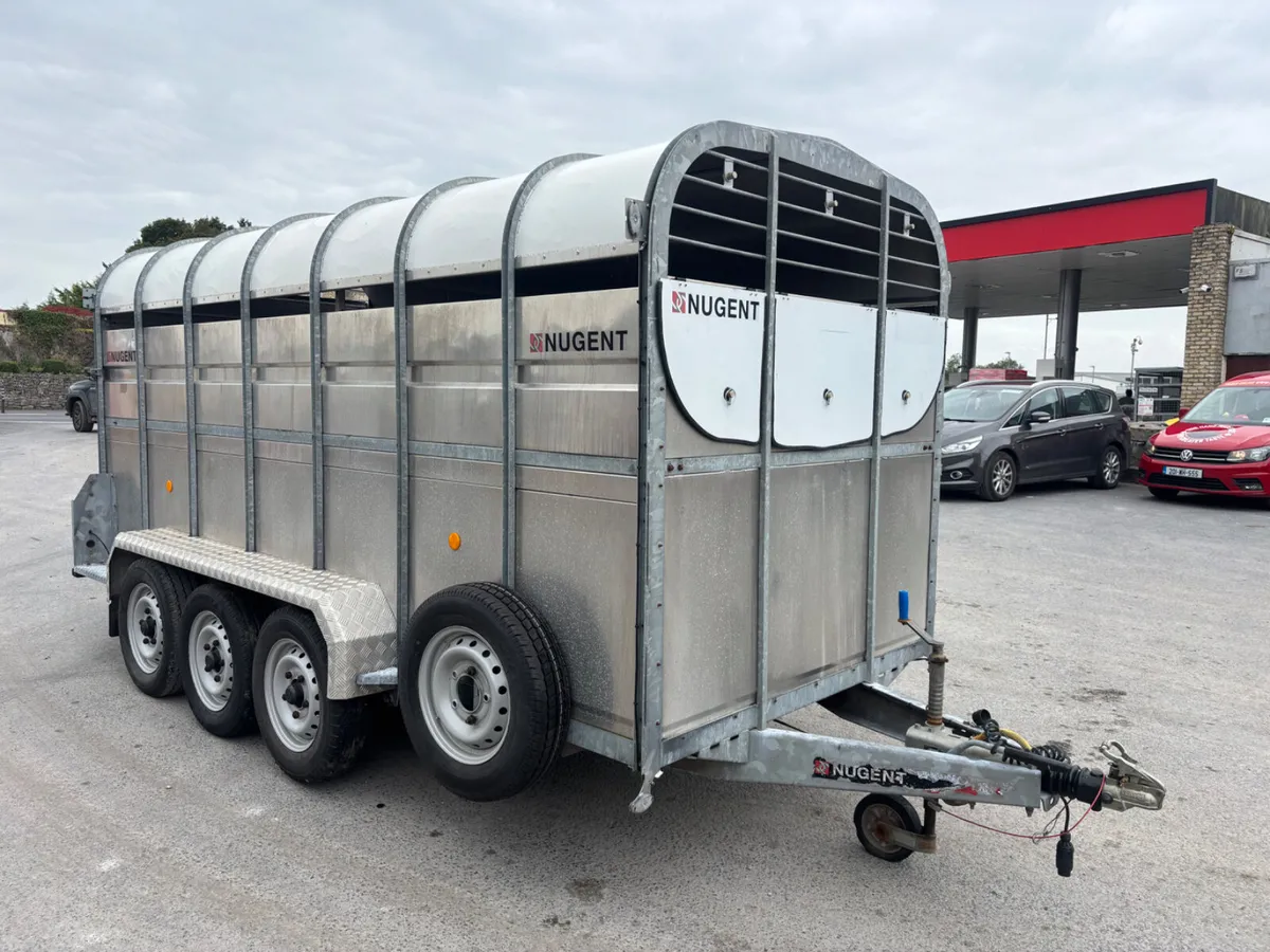 nugent 14ft livestock trailer - Image 4