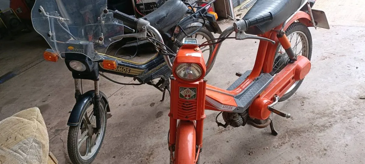 Tomos motor bike and luojia bike - Image 1