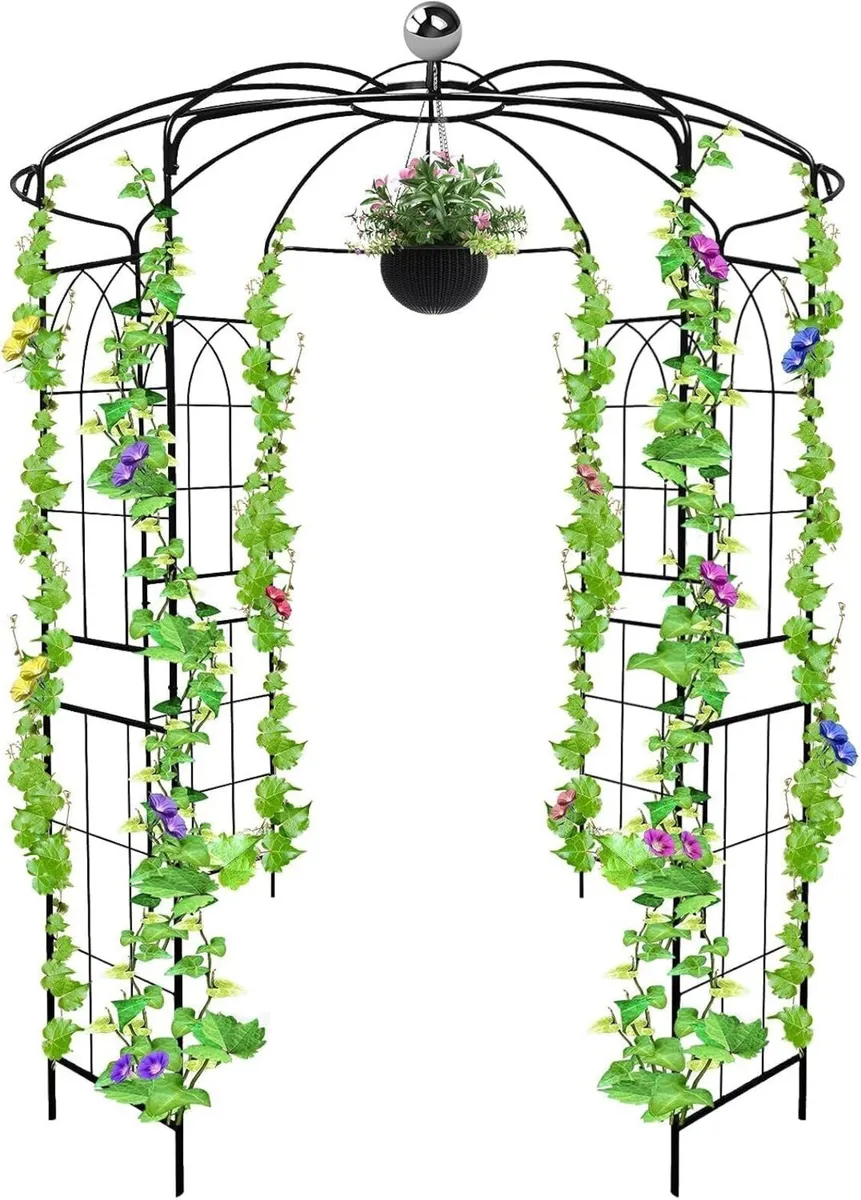 2.9m 4-Sided Metal Heavy Duty Birdcage Shape - Image 1