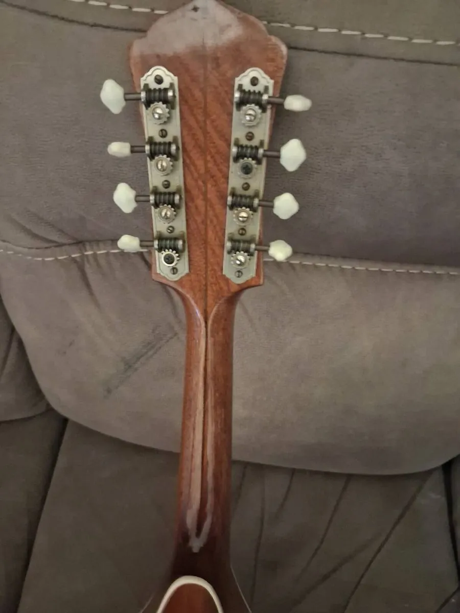 Levin Serenad Mandolin - Image 4