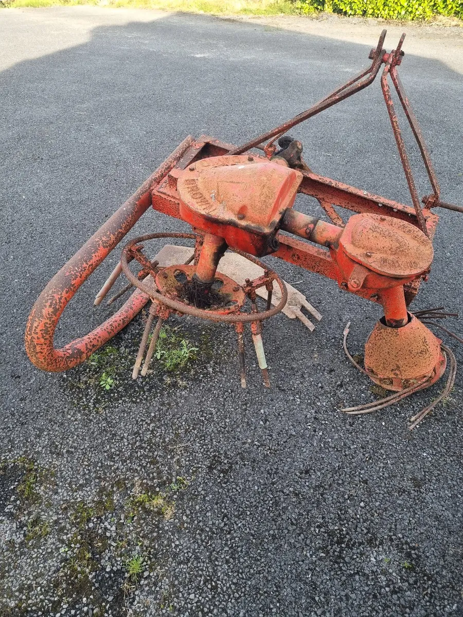 David Brown Potato Digger - Image 1