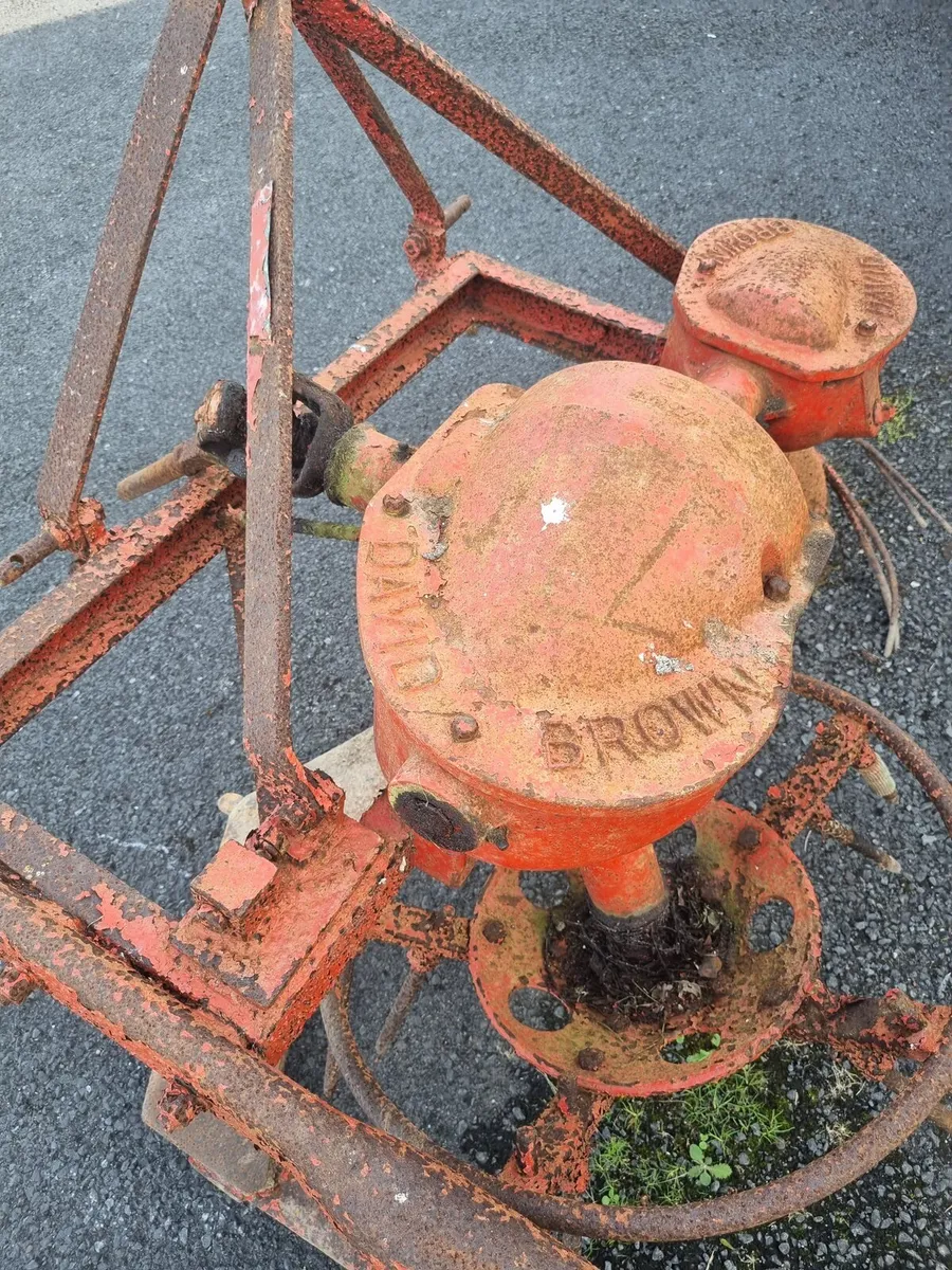 David Brown Potato Digger - Image 2