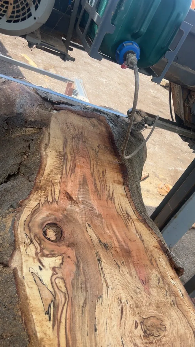 Sawmilling - Image 1