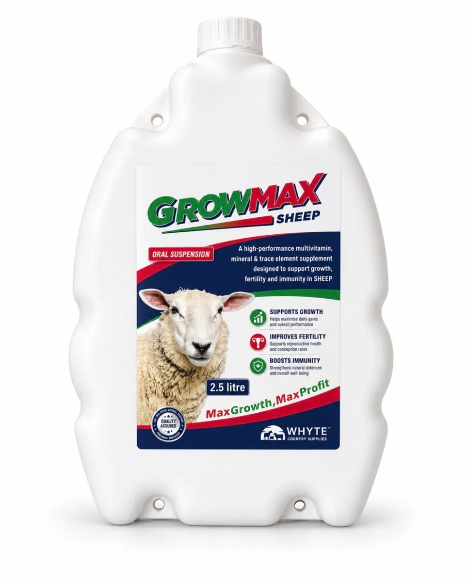 GrowMax Sheep