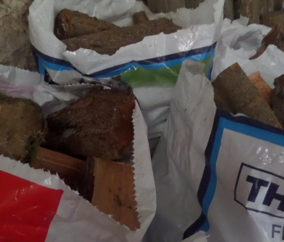 Firewood - Image 2