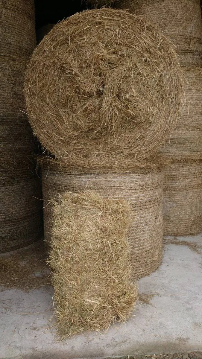 Organic Hay and Straw - Image 1