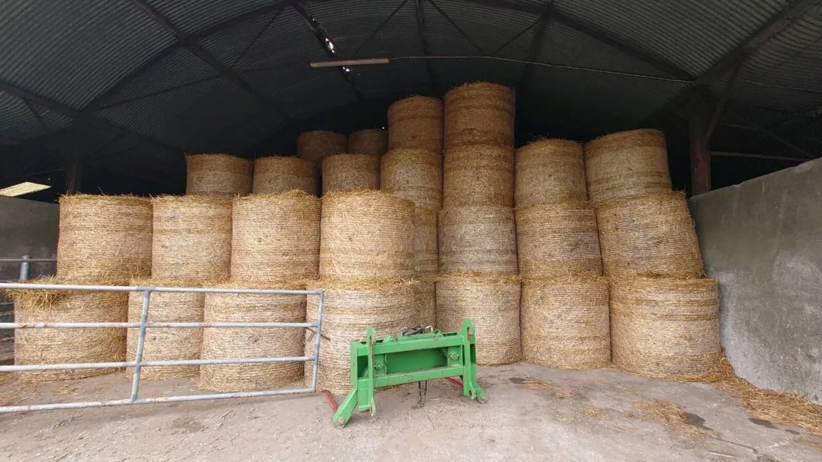 Organic Hay and Straw - Image 2
