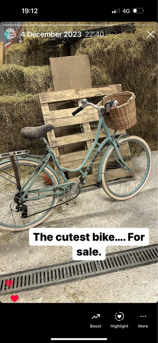 Raleigh Town Bike
