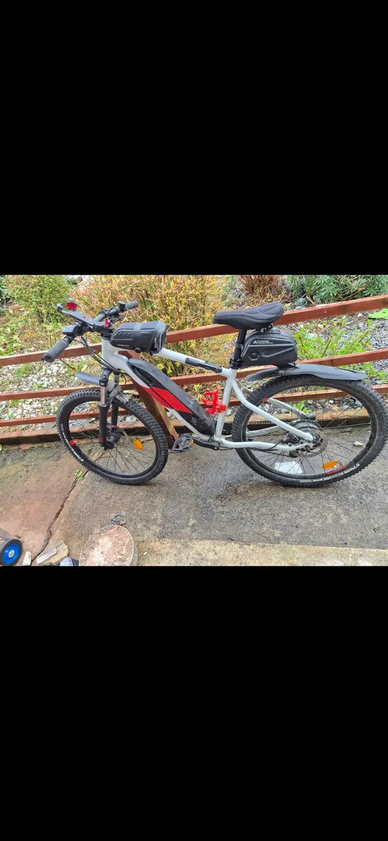 Electric mountain bike