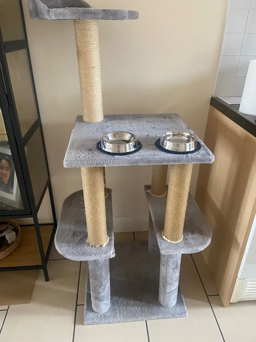 Free cat tree - Image 1