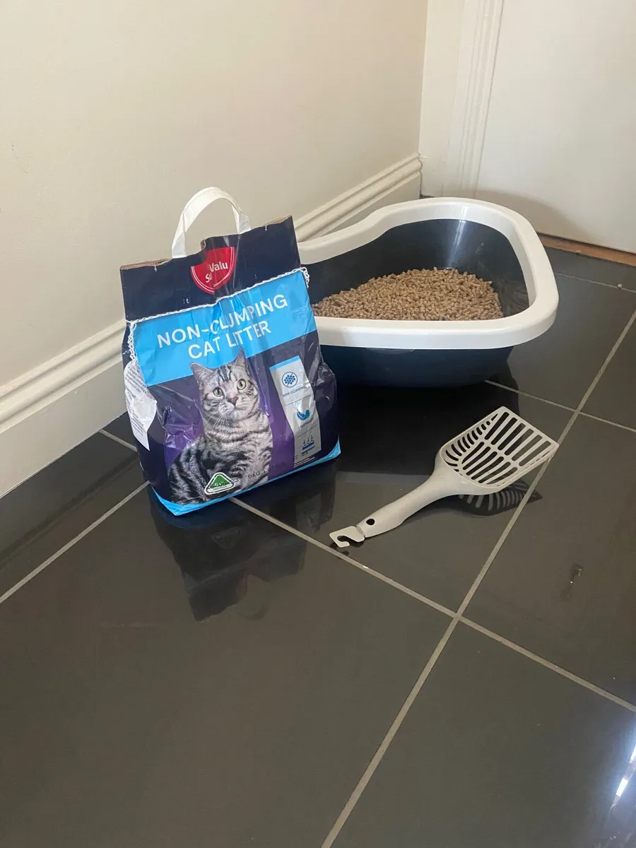 Free cat tree - Image 2