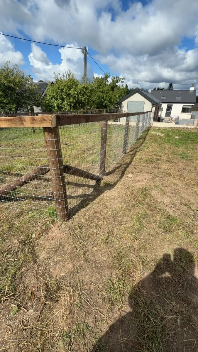 Landscaping - Image 4