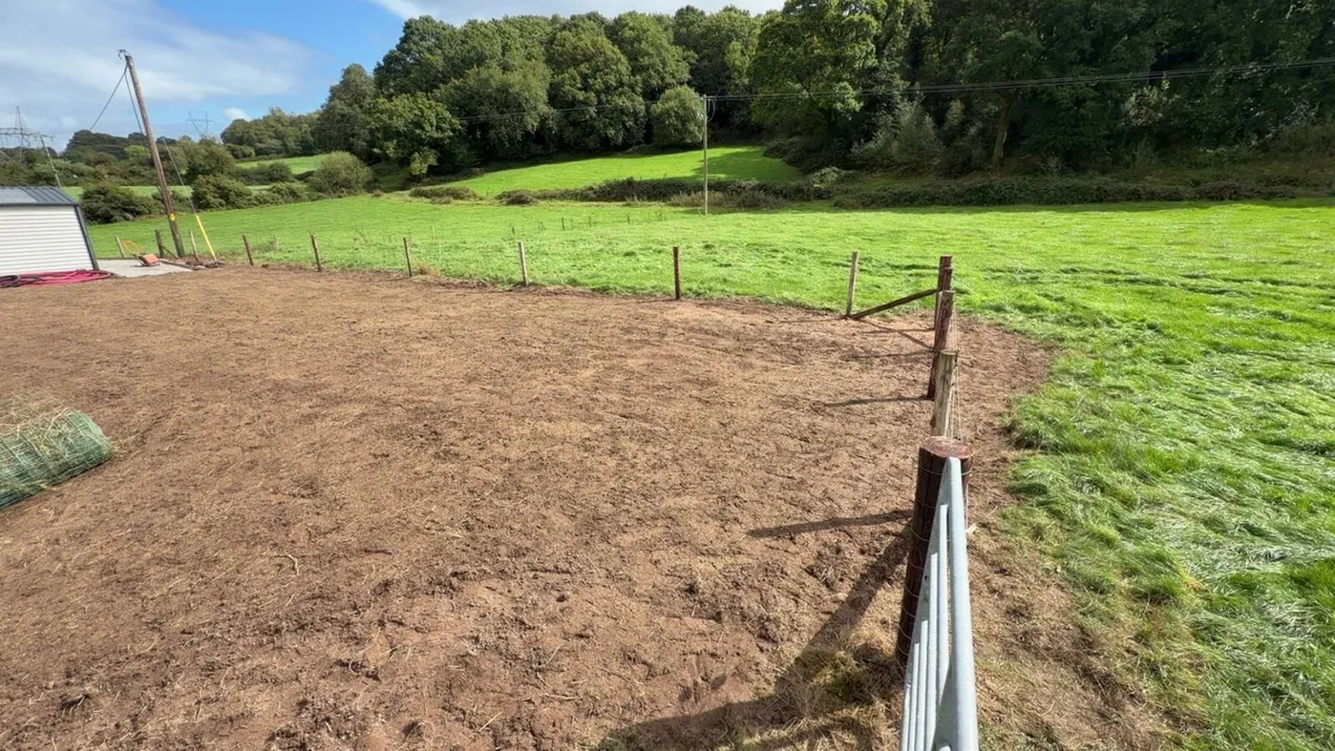 Landscaping - Image 1