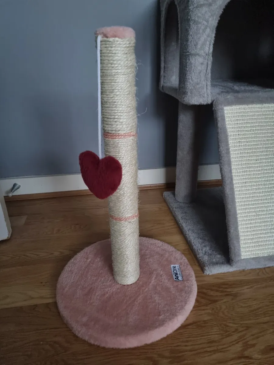 Pet accessories - Image 1