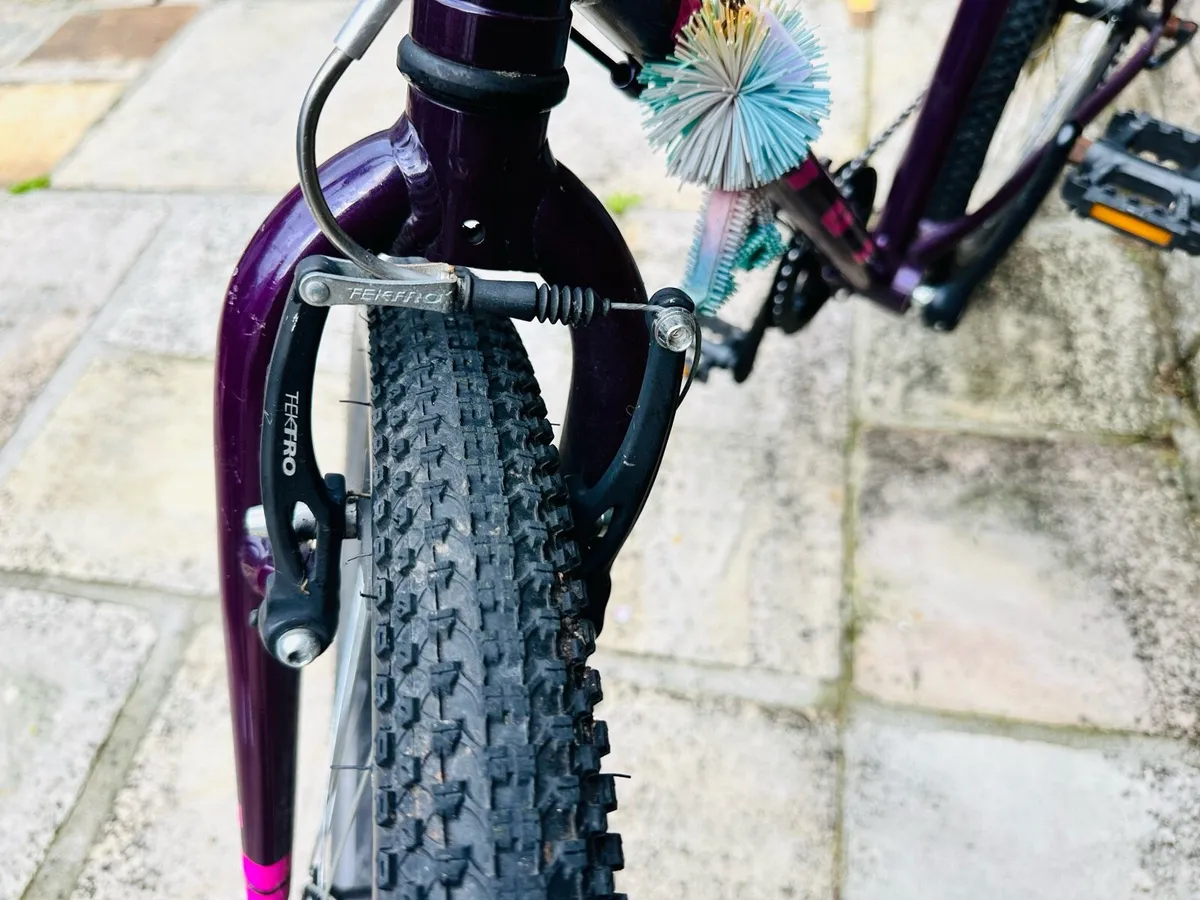 Vitus 24” kids bicycle - Image 2