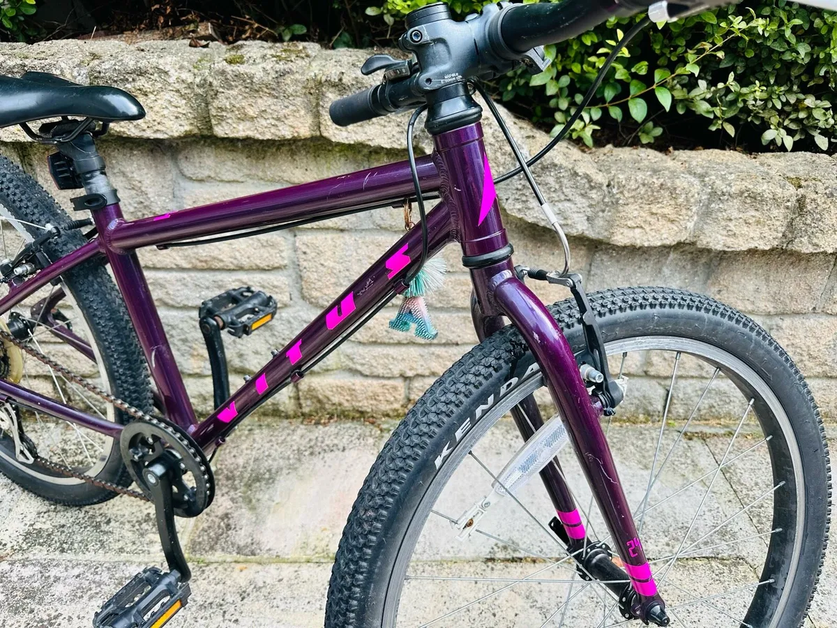 Vitus 24” kids bicycle - Image 3