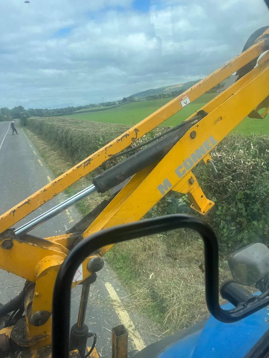 Hedge cutting - Image 2