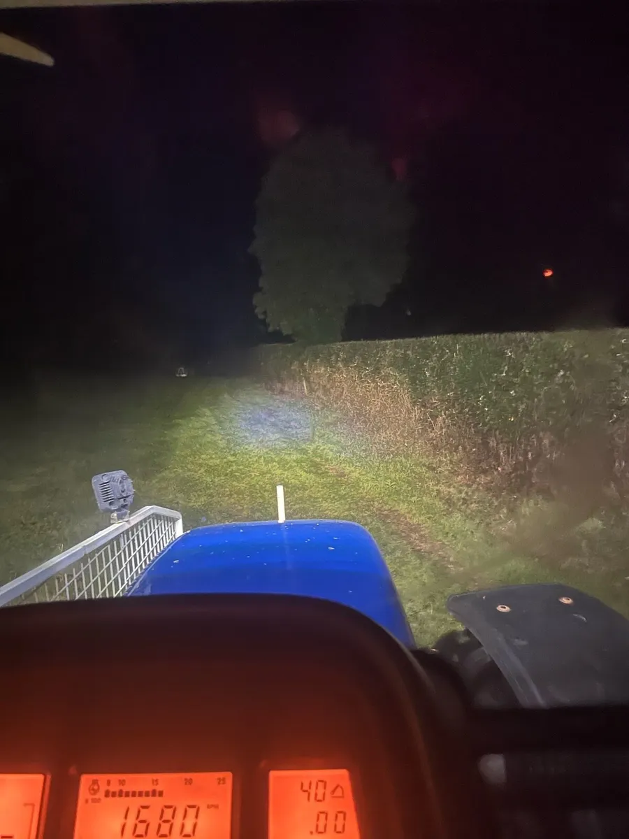 Hedge cutting - Image 3
