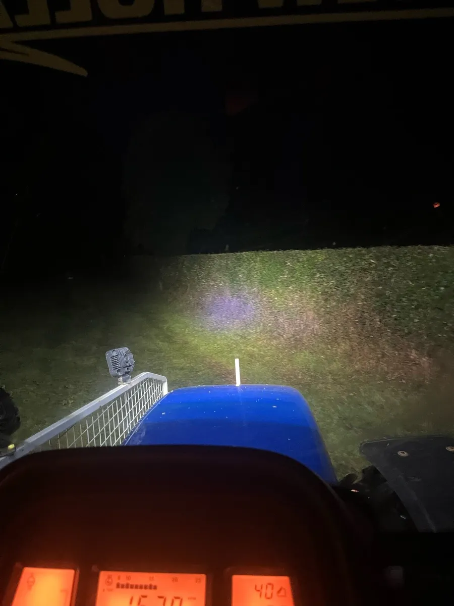 Hedge cutting - Image 4