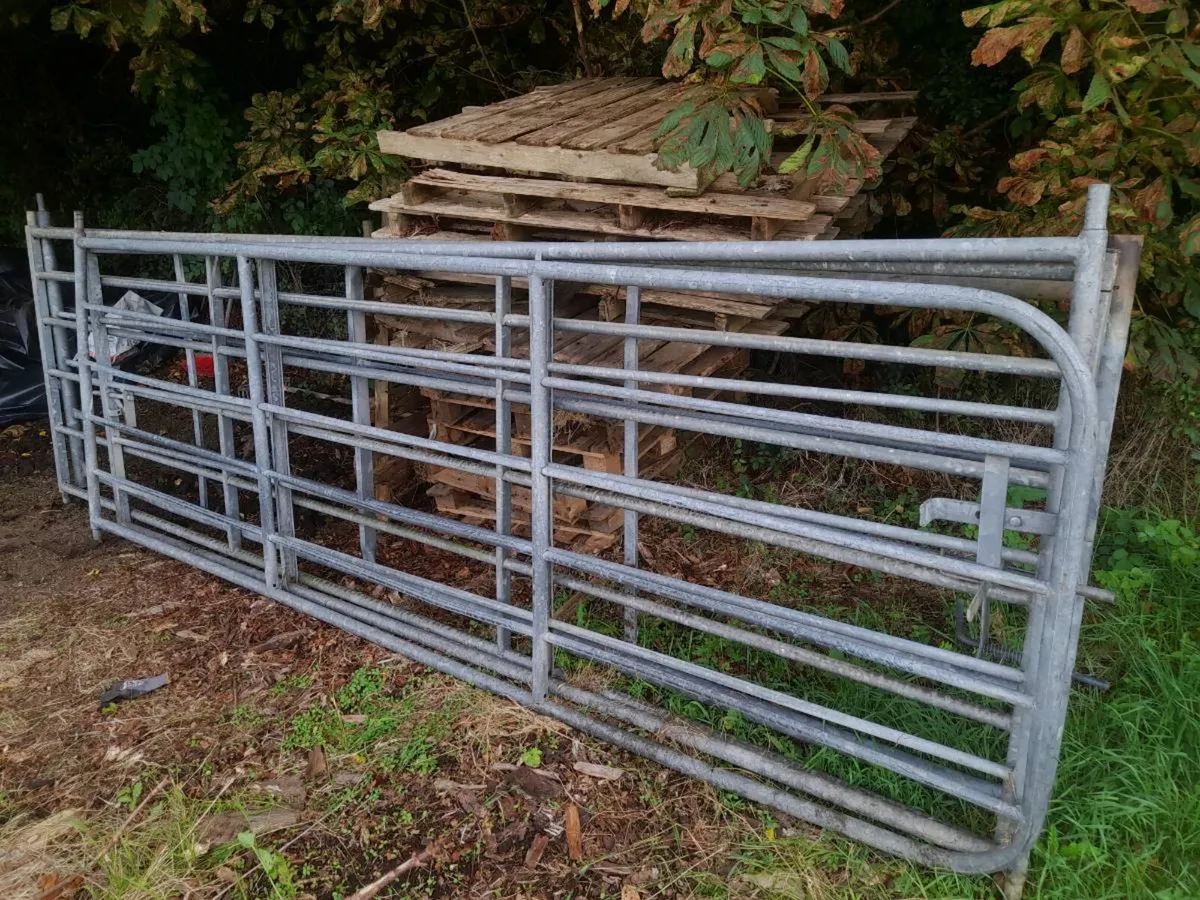 Field gates - Image 1